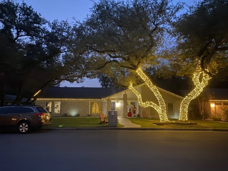 Full house with roofline lights and two decorated trees