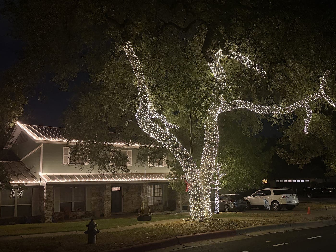 A lit roofline and two fully wrapped oak trees seen from across the street