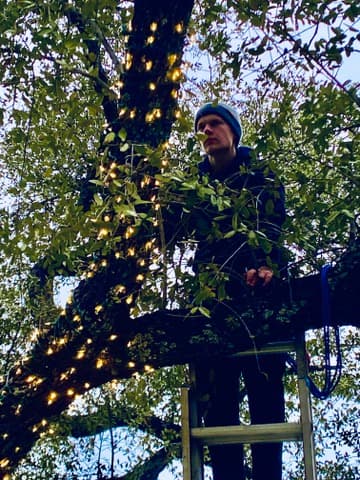 Professional installer working on tree lighting
