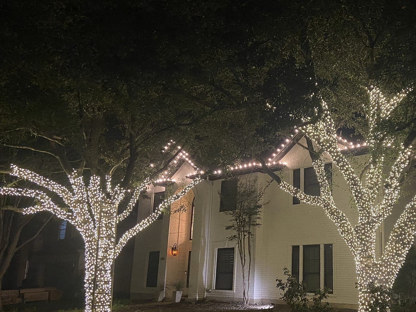 Two oaks wrapped out to the branch tips on either side of a lit white two-story house