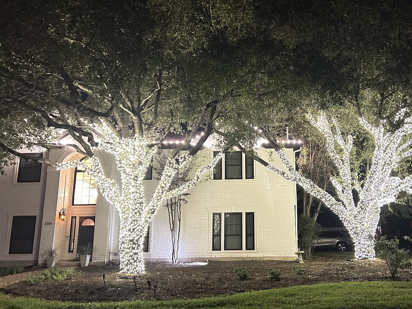 Two large oaks wrapped trunk to branch tip in warm white lights, framing a lit two-story white house